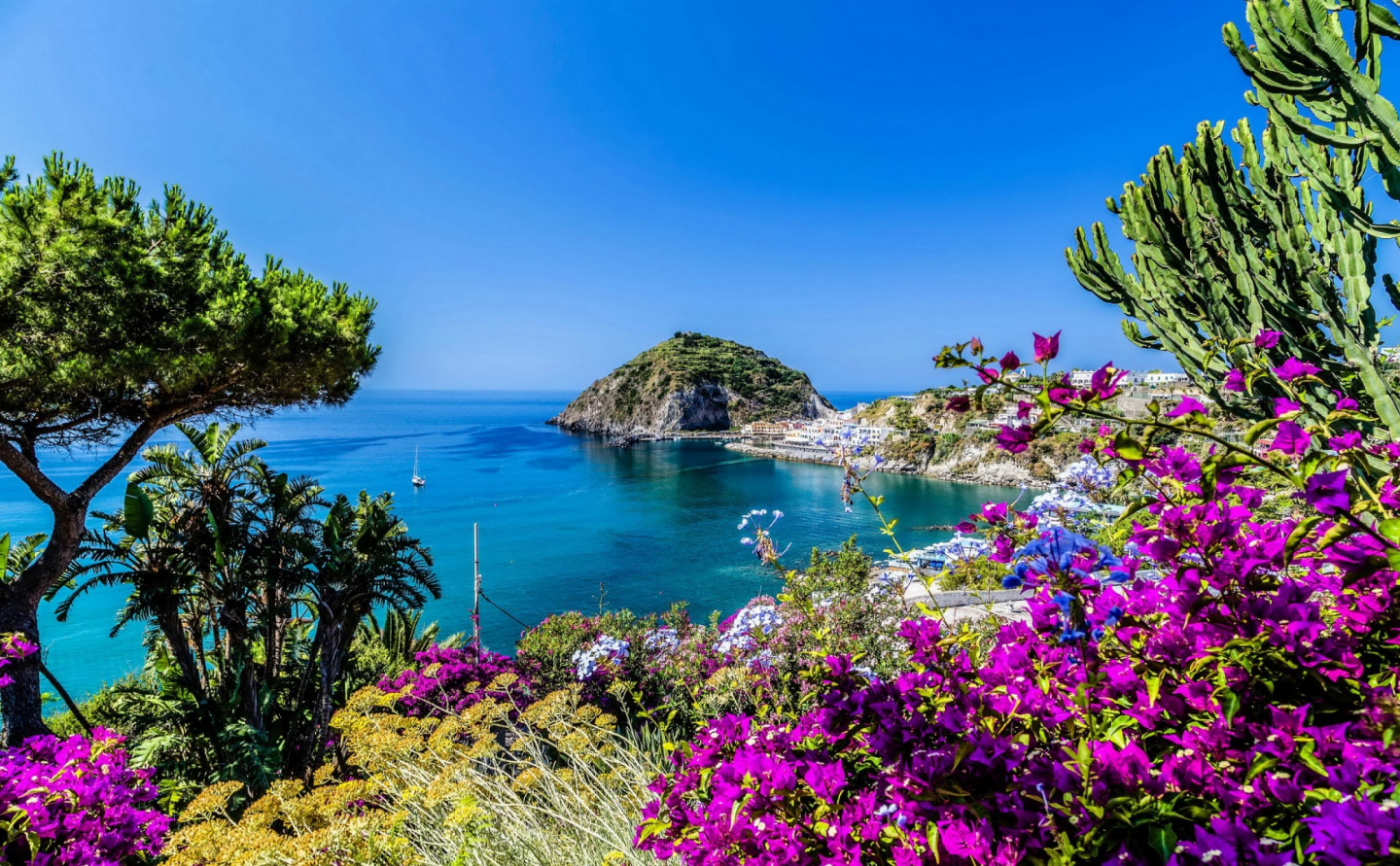 Day to discover Ischia